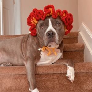 Handmade crochet yellow and red dog sun hat